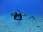 Hawaii Scuba divng 56