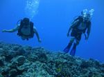 Hawaii Scuba divng 58