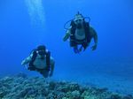 Hawaii Scuba divng 59