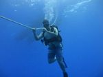 Hawaii Scuba divng 64