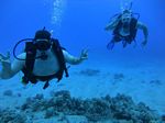 Hawaii Scuba divng 69