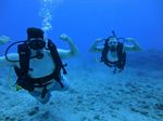 Hawaii Scuba divng 70