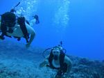 Hawaii Scuba divng 71