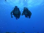 Hawaii Scuba divng 72