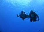 Hawaii Scuba divng 73