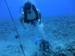 Hawaii Scuba divng 77