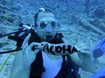 Hawaii Scuba divng 81