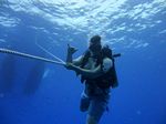 Hawaii Scuba divng 83