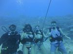 Hawaii Scuba divng 10