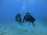 Hawaii Scuba divng 12