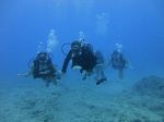 Hawaii Scuba divng 14