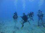 Hawaii Scuba divng 15