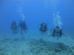 Hawaii Scuba divng 16