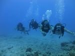 Hawaii Scuba divng 17