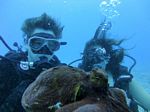 Hawaii Scuba divng 18