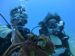 Hawaii Scuba divng 20