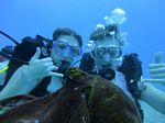 Hawaii Scuba divng 21