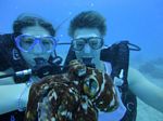 Hawaii Scuba divng 23