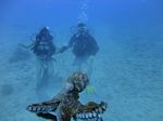 Hawaii Scuba divng 24