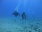 Hawaii Scuba divng 30