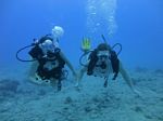 Hawaii Scuba divng 31