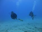 Hawaii Scuba divng 32