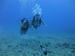 Hawaii Scuba divng 33