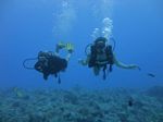 Hawaii Scuba divng 35