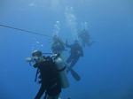 Hawaii Scuba divng 44