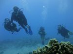 Hawaii Scuba divng 48