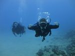 Hawaii Scuba divng 49