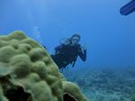 Hawaii Scuba divng 51