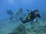 Hawaii Scuba divng 52