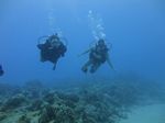 Hawaii Scuba divng 53