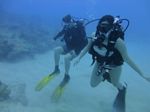 Hawaii Scuba divng 56