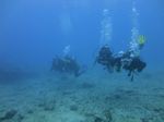 Hawaii Scuba divng 58