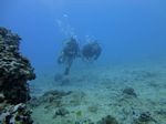 Hawaii Scuba divng 59