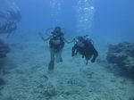 Hawaii Scuba divng 60