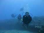 Hawaii Scuba divng 62