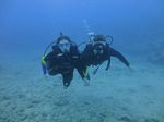 Hawaii Scuba divng 64