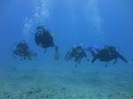 Hawaii Scuba divng 69