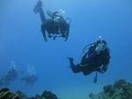 Hawaii Scuba divng 70