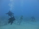 Hawaii Scuba divng 74