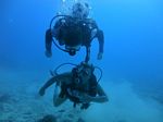 Hawaii scuba 15