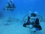 Hawaii scuba 19