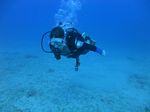 Hawaii scuba 29