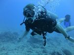 Hawaii Scuba divng 10