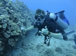 Hawaii Scuba divng 18