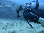 Hawaii Scuba divng 20