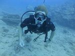 Hawaii Scuba divng 21